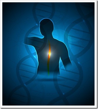 Chiropractor Manchester IA Health Solutions