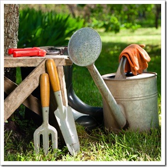 Spinal Health Gardening Manchester IA