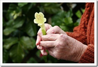 Arthritis Pain Relief Manchester IA